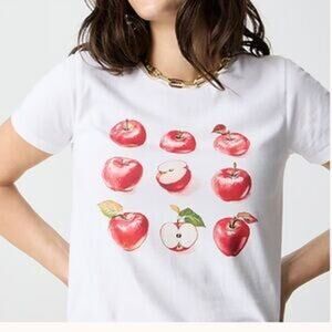 J. Crew Factory Womens Collectors Tee Apples Graphic 100% Cotton Size XL
